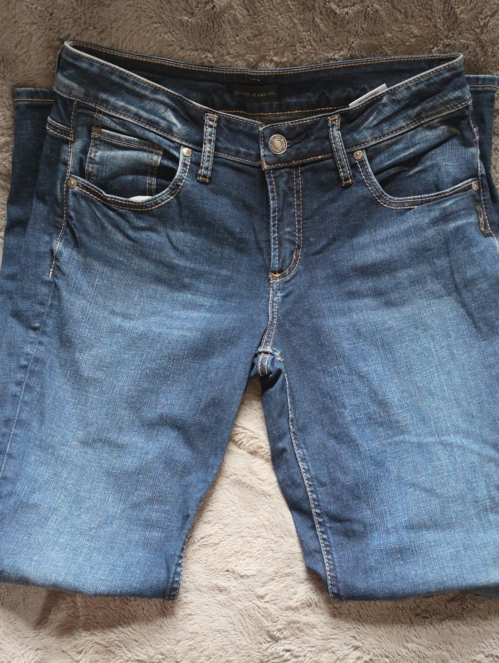 Silver Jeans Women's Skinny Jeans in Blue Wash